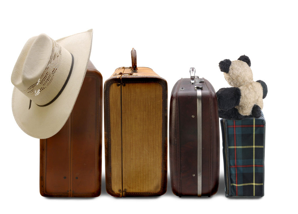 family-luggage-2